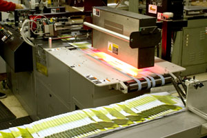 High-speed Envelope, Brochure, Catalog or Postcard Addressing